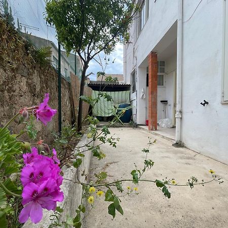 Ardia22 Hotel ออลเบีย ภายนอก รูปภาพ